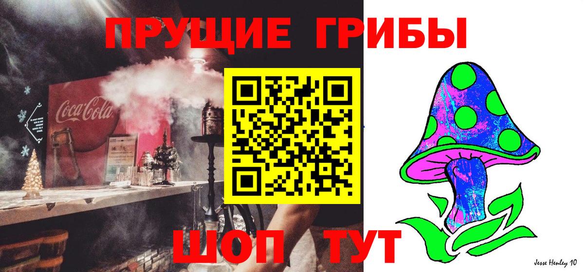 Галлюциногенные грибы Psilocybine cubensis  продажа наркотиков  Удомля  Вход с VPN  Псилоцибиновые грибы MAGIC MUSHROOMS 